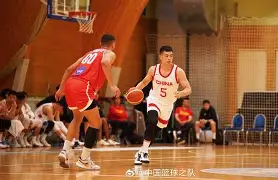 开云体育app-斯洛文尼亚队力压对手，实现胜利，晋级梦想的简单介绍